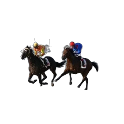 crown, hat, animal, concept art transparent PNG cut-out
