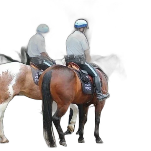 staff, animal, concept art, photorealistic transparent PNG cut-out