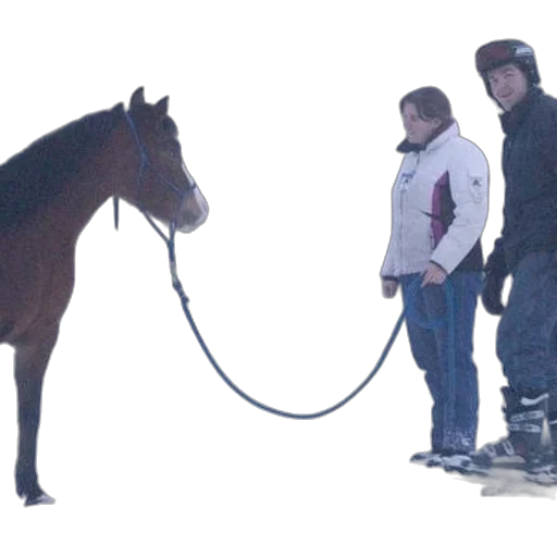 staff, animal, snow, person transparent PNG cut-out
