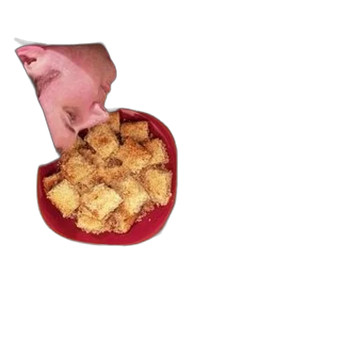 food, animal, shoes, weapon transparent PNG cut-out