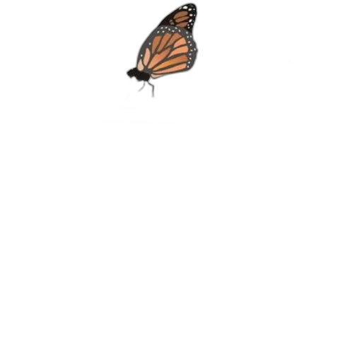 animal, creature, jacket, umbrella transparent PNG cut-out