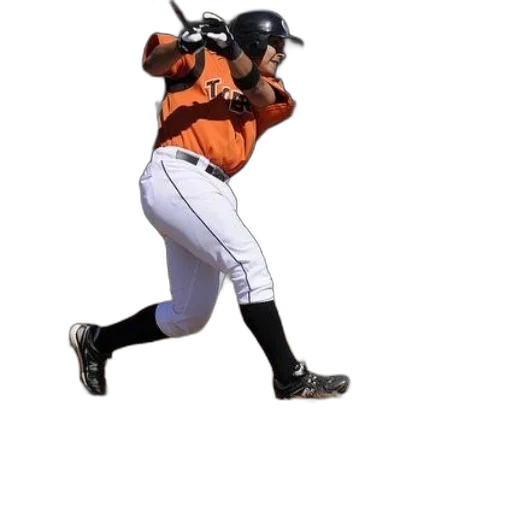 animal, weapon, staff, baseball transparent PNG cut-out