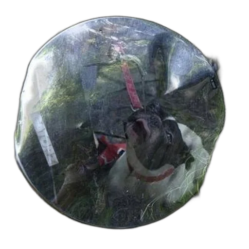 umbrella, staff, dragon, mask transparent PNG cut-out