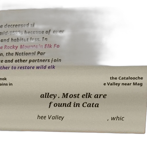 image, text-based, document, discussing transparent PNG cut-out