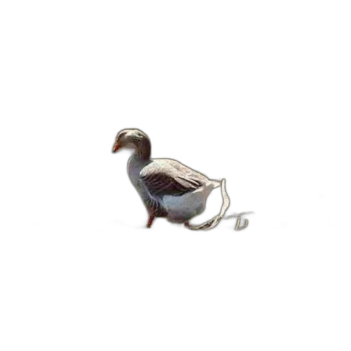 animal, jewelry, staff, creature transparent PNG cut-out