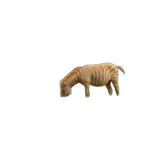 animal, creature, furniture, dragon transparent PNG cut-out
