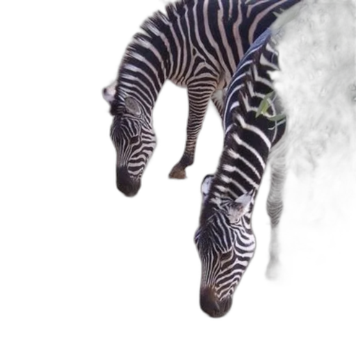 animal, creature, dragon, shoes transparent PNG cut-out