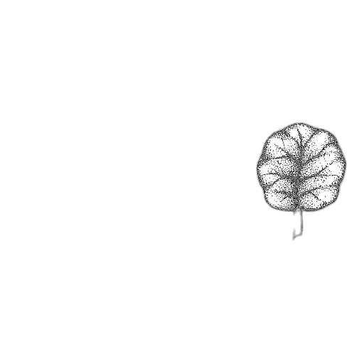 flower, hair, crown, tree transparent PNG cut-out