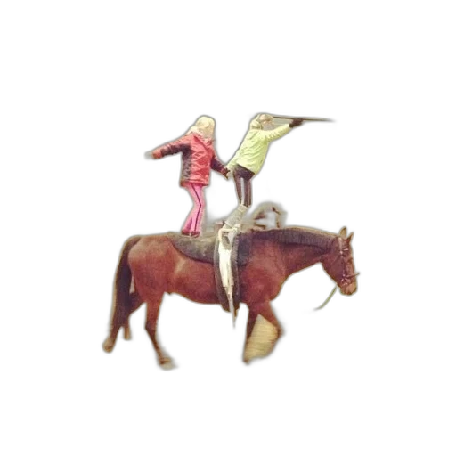 staff, sword, animal, weapon transparent PNG cut-out