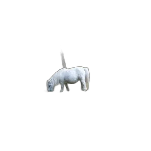 animal, creature, dragon, staff transparent PNG cut-out