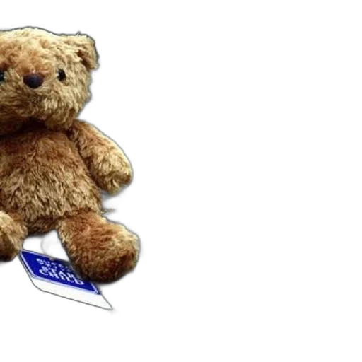 staff, teddy, bear, buddy transparent PNG cut-out