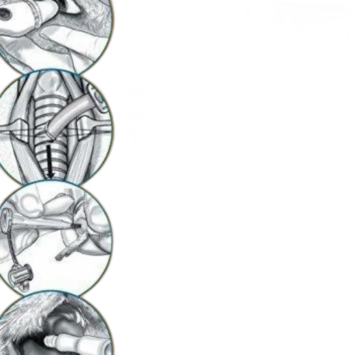 jewelry, cover, manual, clinical transparent PNG cut-out