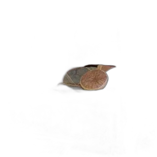 hat, jewelry, animal, staff transparent PNG cut-out