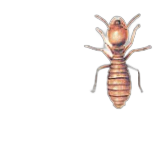 animal, creature, crown, staff transparent PNG cut-out