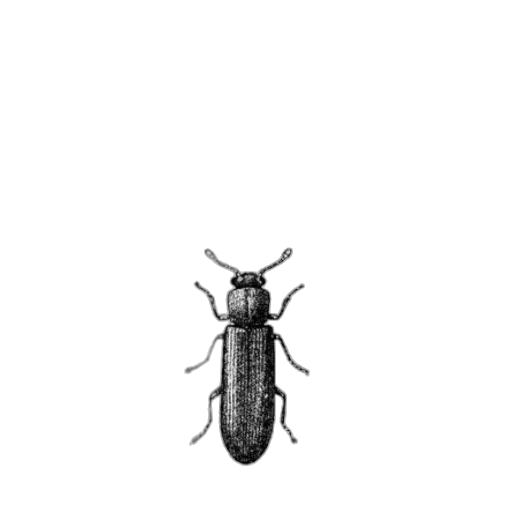 animal, creature, staff, robot transparent PNG cut-out
