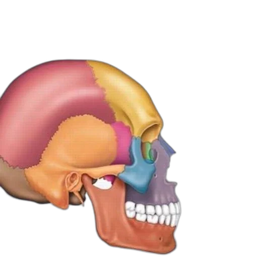 mask, face, crown, hat transparent PNG cut-out