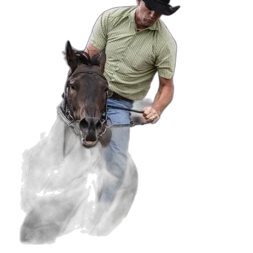 animal, hat, staff, creature transparent PNG cut-out