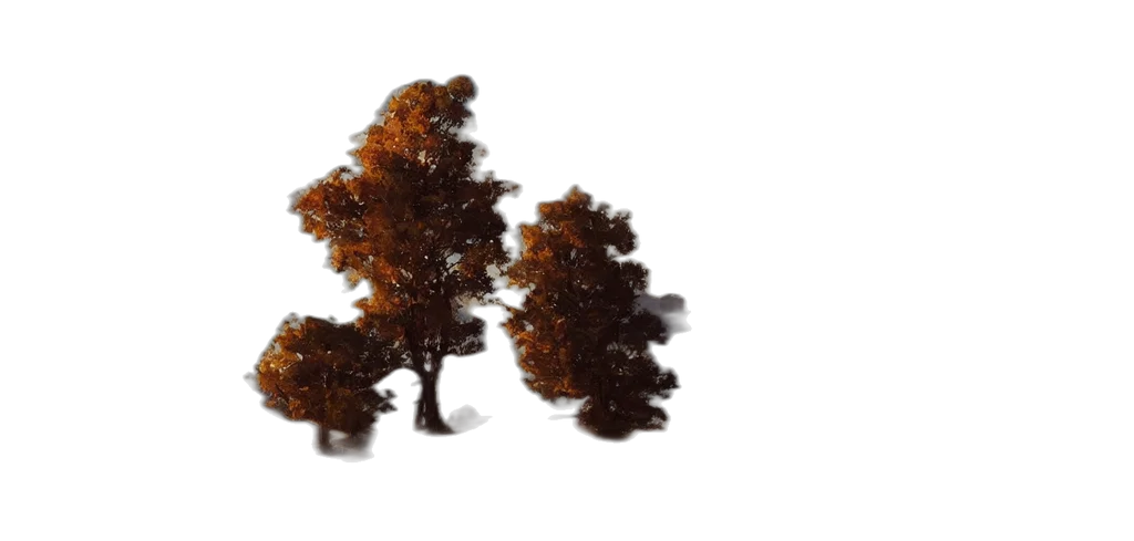 tree, crown, hair, hat transparent PNG cut-out