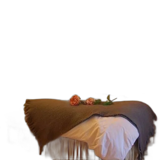 furniture, crown, hair, hat transparent PNG cut-out