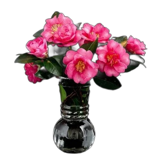 flower, crown, photorealistic, 3d render transparent PNG cut-out