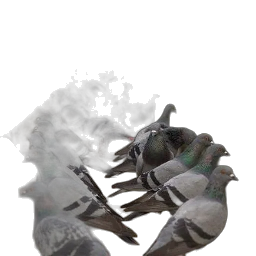 mask, weapon, dragon, shoes transparent PNG cut-out