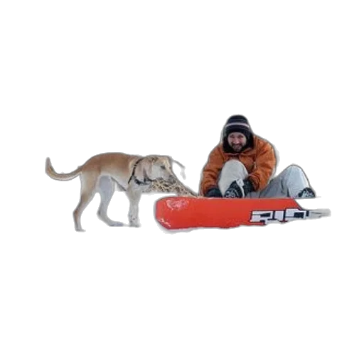 animal, staff, creature, snow transparent PNG cut-out
