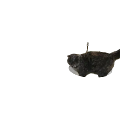 staff, animal, crown, jewelry transparent PNG cut-out