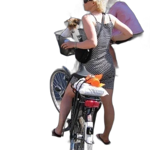 animal, dress, creature, photorealistic transparent PNG cut-out