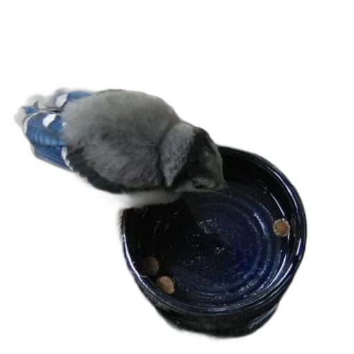 food, hat, shoes, jewelry transparent PNG cut-out