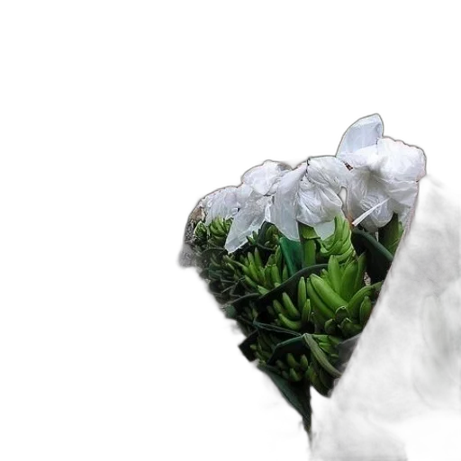flower, crown, jacket, mask transparent PNG cut-out