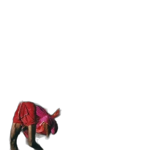animal, creature, jacket, hat transparent PNG cut-out