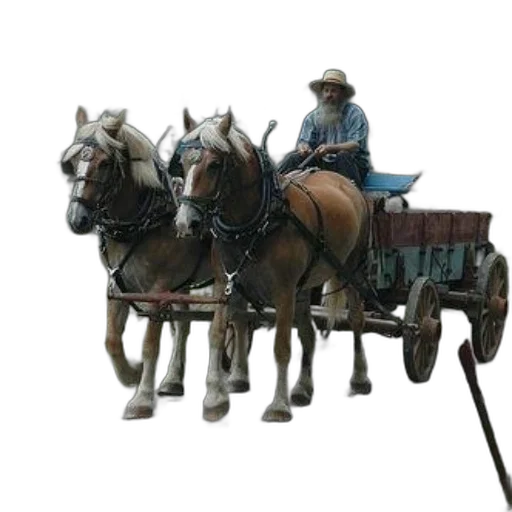 car, staff, animal, furniture transparent PNG cut-out
