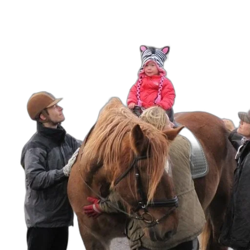 animal, hat, creature, child transparent PNG cut-out