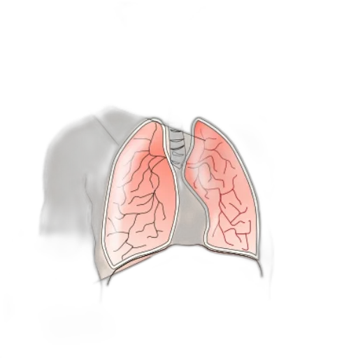 mask, jacket, watercolor, photorealistic transparent PNG cut-out