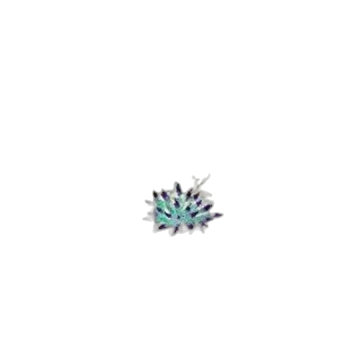 flower, crown, creature, dragon transparent PNG cut-out