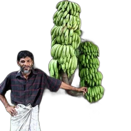 food, animal, staff, photorealistic transparent PNG cut-out