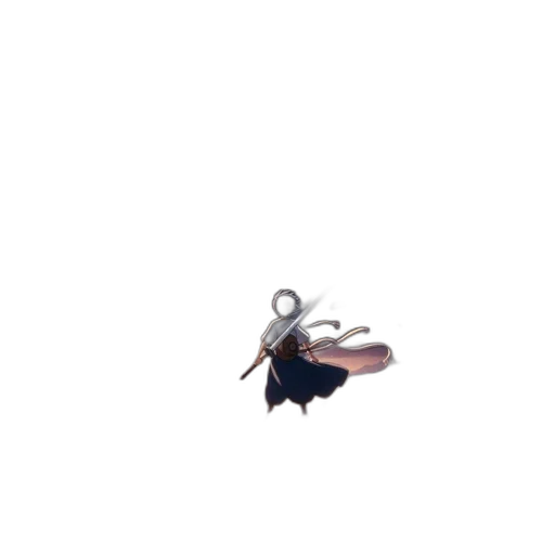 jewelry, shoes, animal, dragon transparent PNG cut-out
