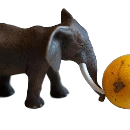 animal, food, creature, weapon transparent PNG cut-out