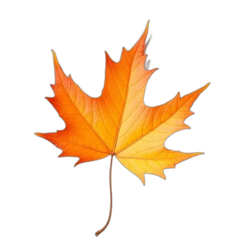 crown, tree, flower, photorealistic transparent PNG cut-out