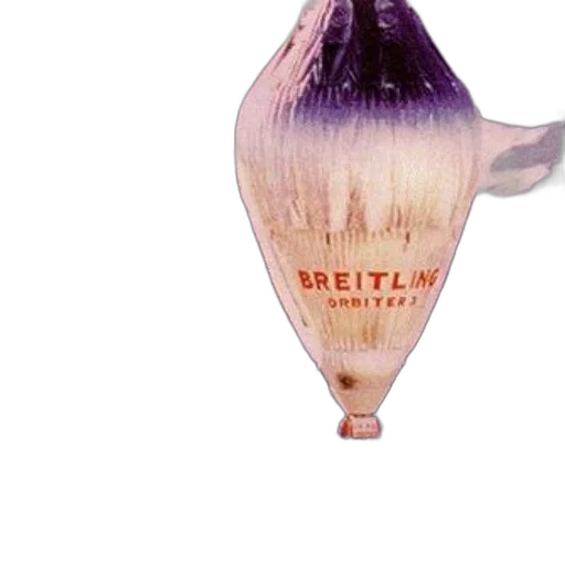 bottle, food, umbrella, staff transparent PNG cut-out