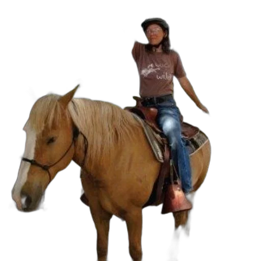 animal, creature, staff, hat transparent PNG cut-out