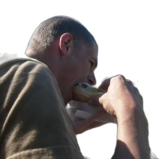 food, creature, animal, staff transparent PNG cut-out