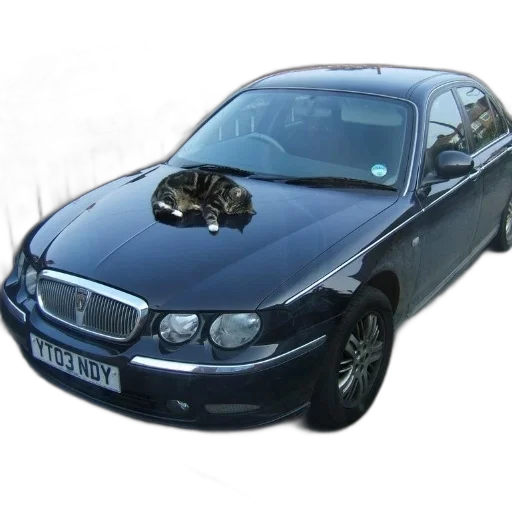car, 3d render, photorealistic, black transparent PNG cut-out