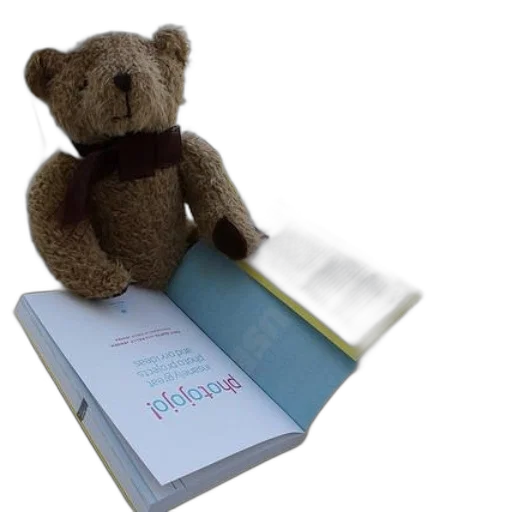 teddy, bear, reading, book transparent PNG cut-out
