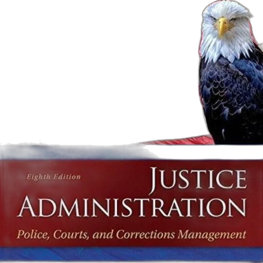 justice, administration, police, courts transparent PNG cut-out