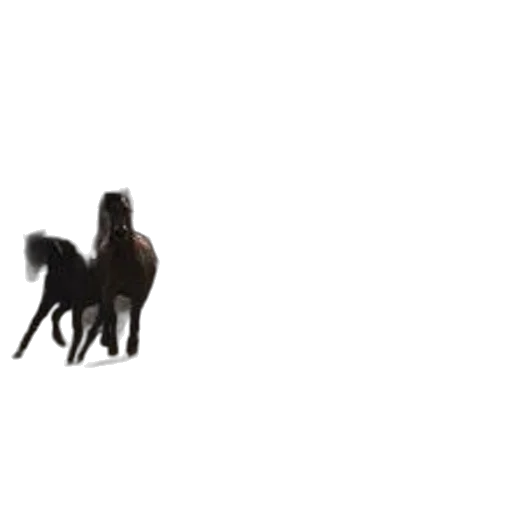 animal, creature, dragon, hair transparent PNG cut-out