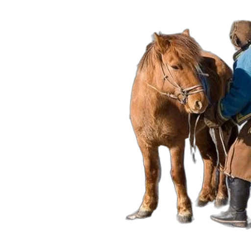 jacket, staff, sword, animal transparent PNG cut-out