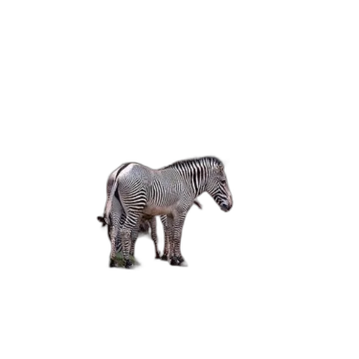 animal, creature, robot, hair transparent PNG cut-out