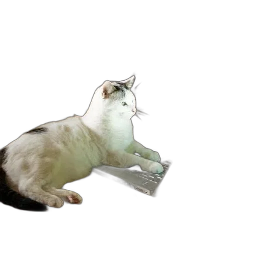 animal, staff, creature, weapon transparent PNG cut-out