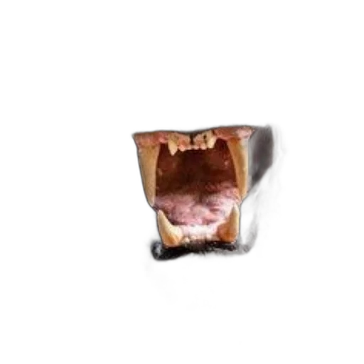 face, mask, food, crown transparent PNG cut-out